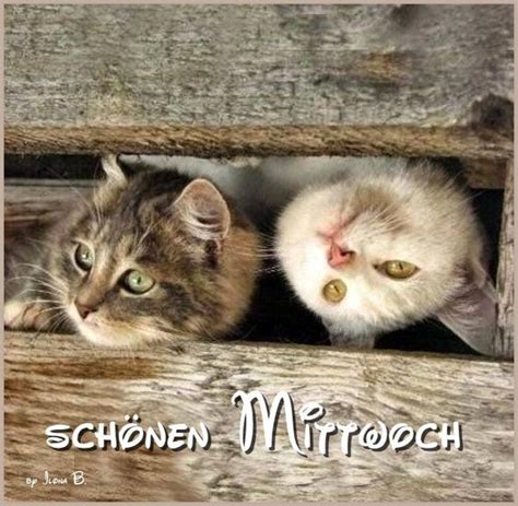 schönen mittwoch bilder|More.